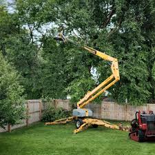 Best Tree Risk Assessment  in Hayden, ID